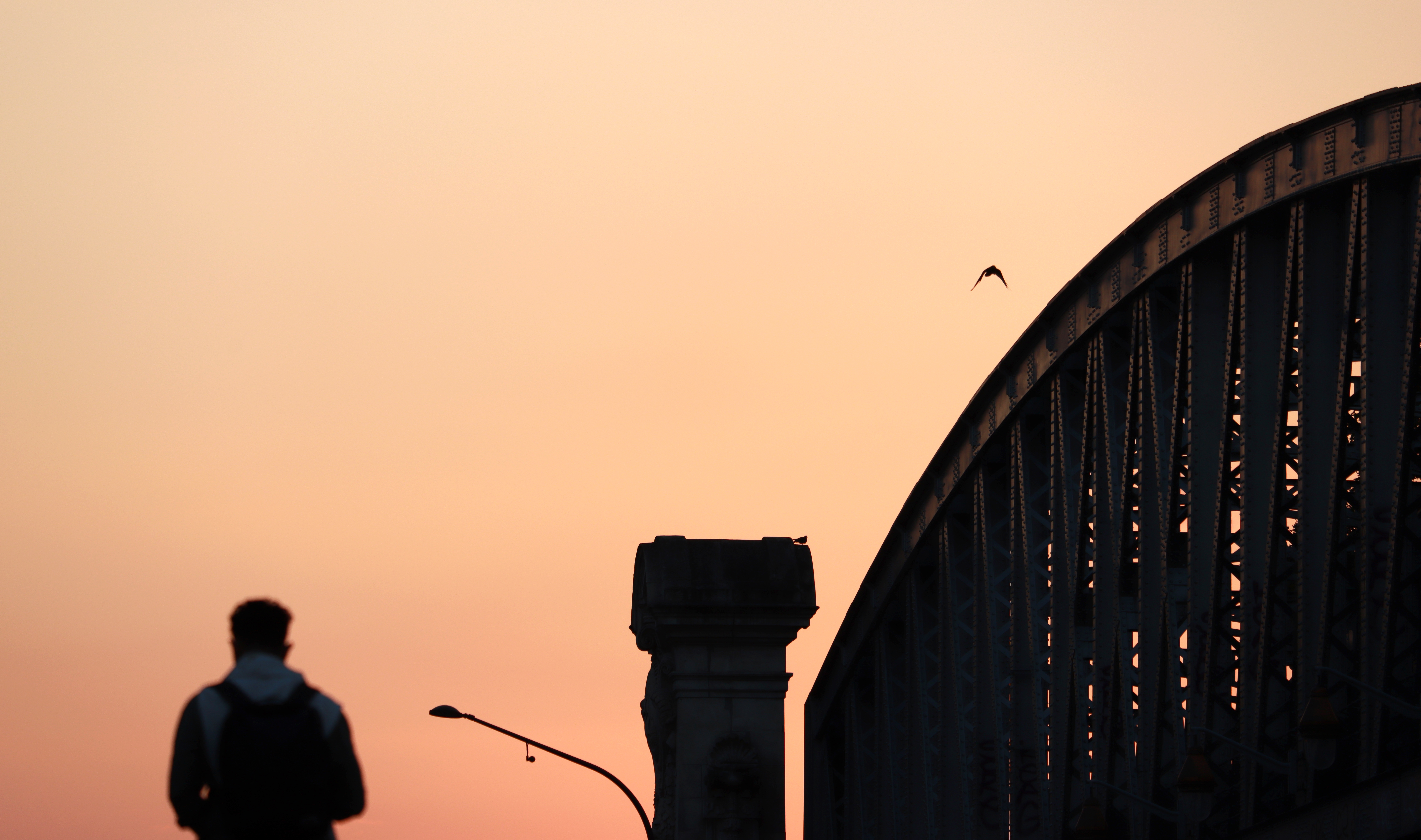 Documentário Un Avenir Prometteur com presença do diretor